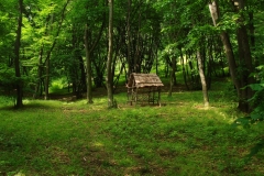 HRANITOARE
