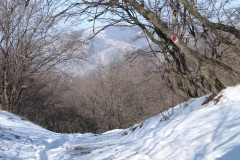 IARNA-TRASEUL-COZLUK