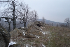 TEI-VARFUL-GHIUNALTU