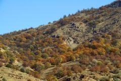 VALEA-MORSU-TOAMNA