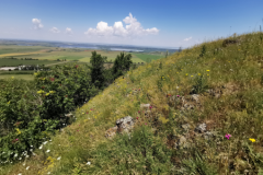 2 Habitatul 62C0 Dealului Sarica, Al. S. Bădărău