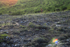 3 Habitatul 8230, Dobrogea de nord